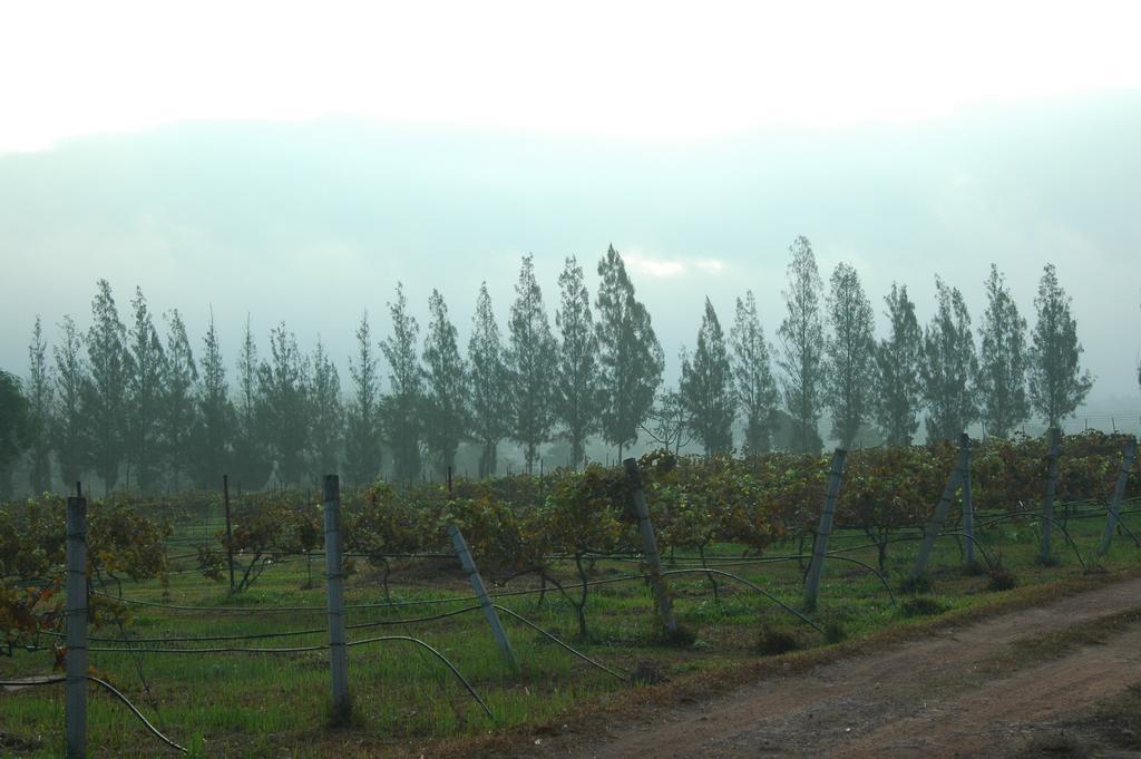Village Farm And Winery Wang Nam Khiao Exterior foto